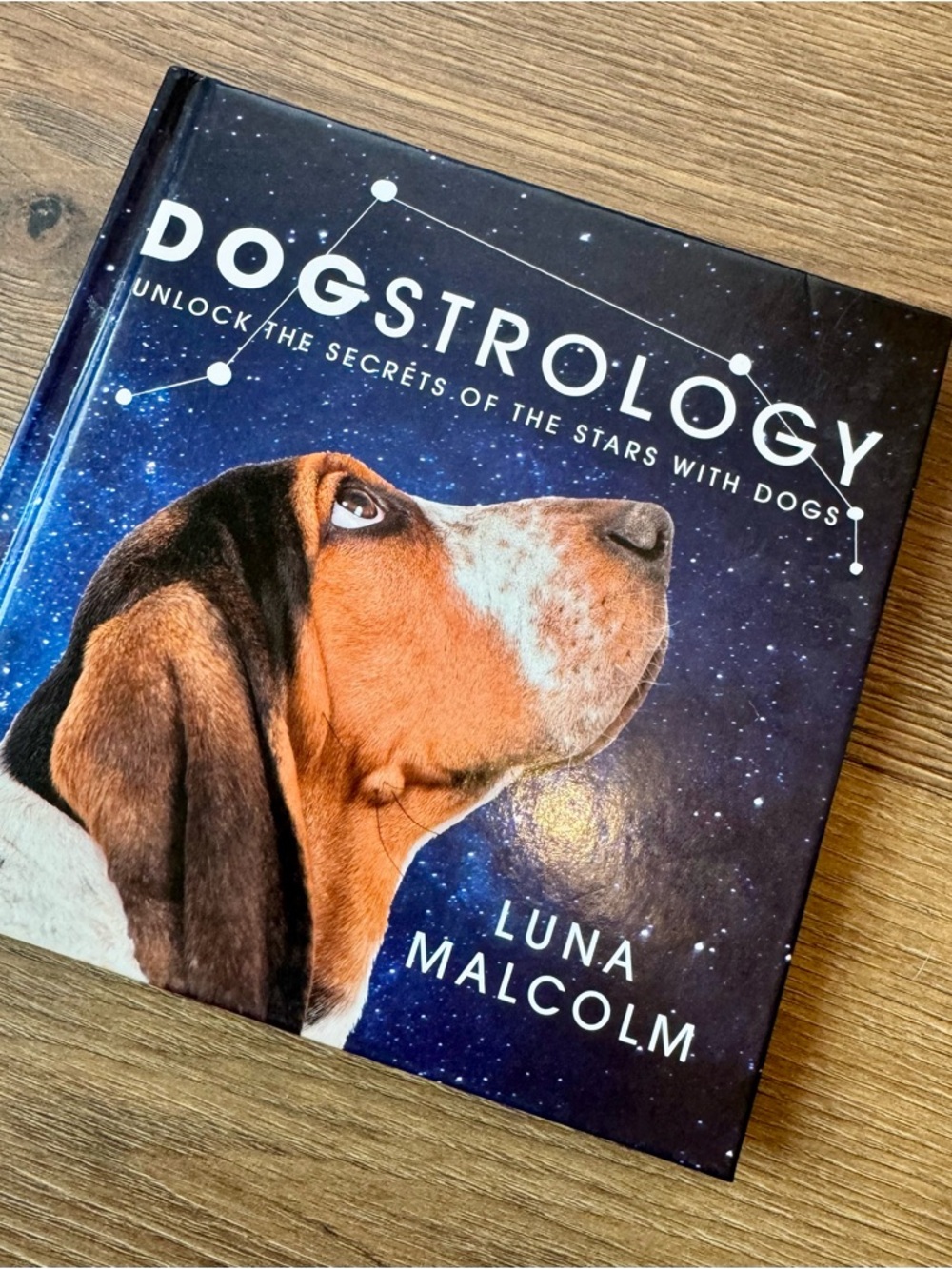 Dogstrology Book by Luna Malcolm